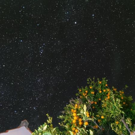"Villa Servanda " - Relax, Nature, Wide Views Of The Sea And A Starry Sky Πούντα Γκόρντα Εξωτερικό φωτογραφία