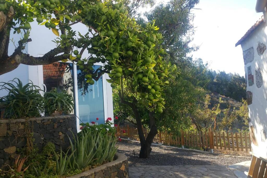"Villa Servanda " - Relax, Nature, Wide Views Of The Sea And A Starry Sky Πούντα Γκόρντα Εξωτερικό φωτογραφία