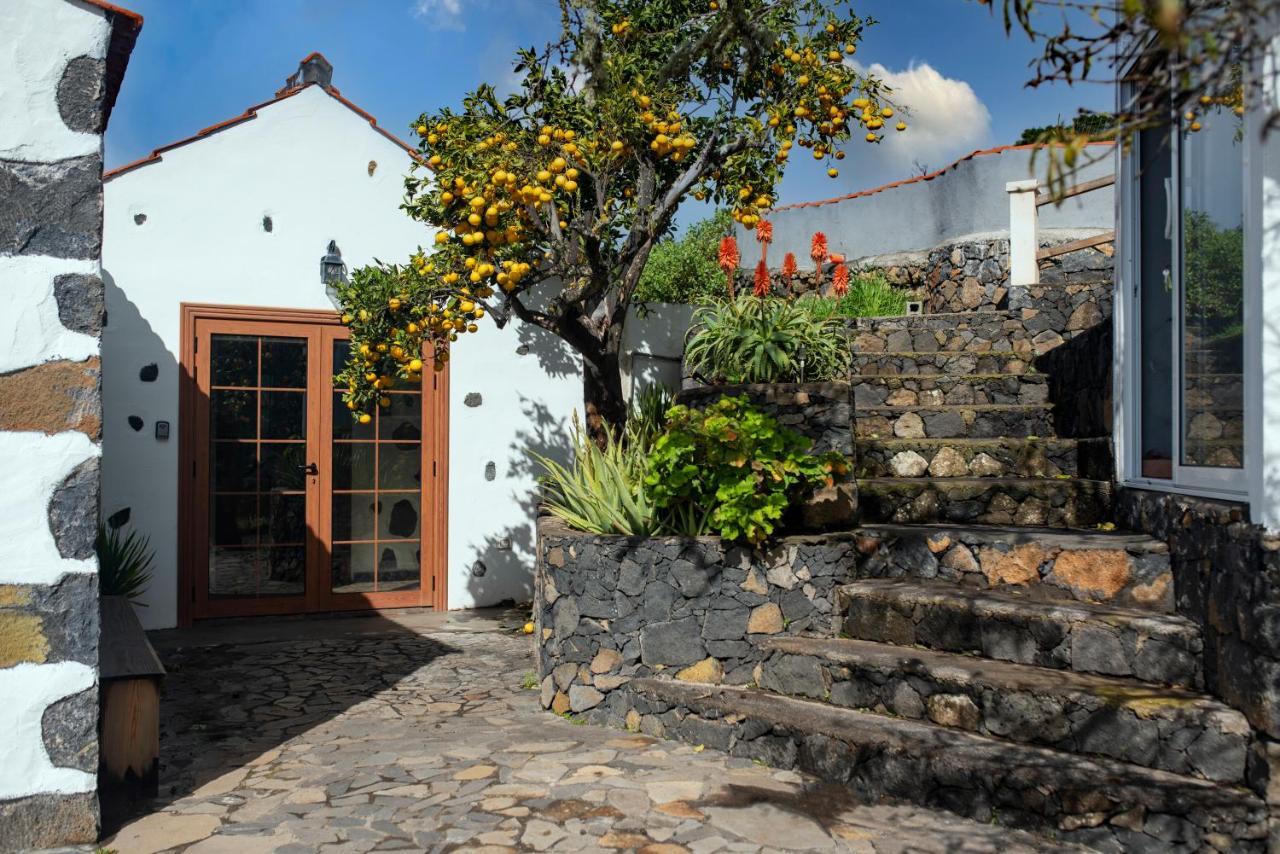 "Villa Servanda " - Relax, Nature, Wide Views Of The Sea And A Starry Sky Πούντα Γκόρντα Εξωτερικό φωτογραφία