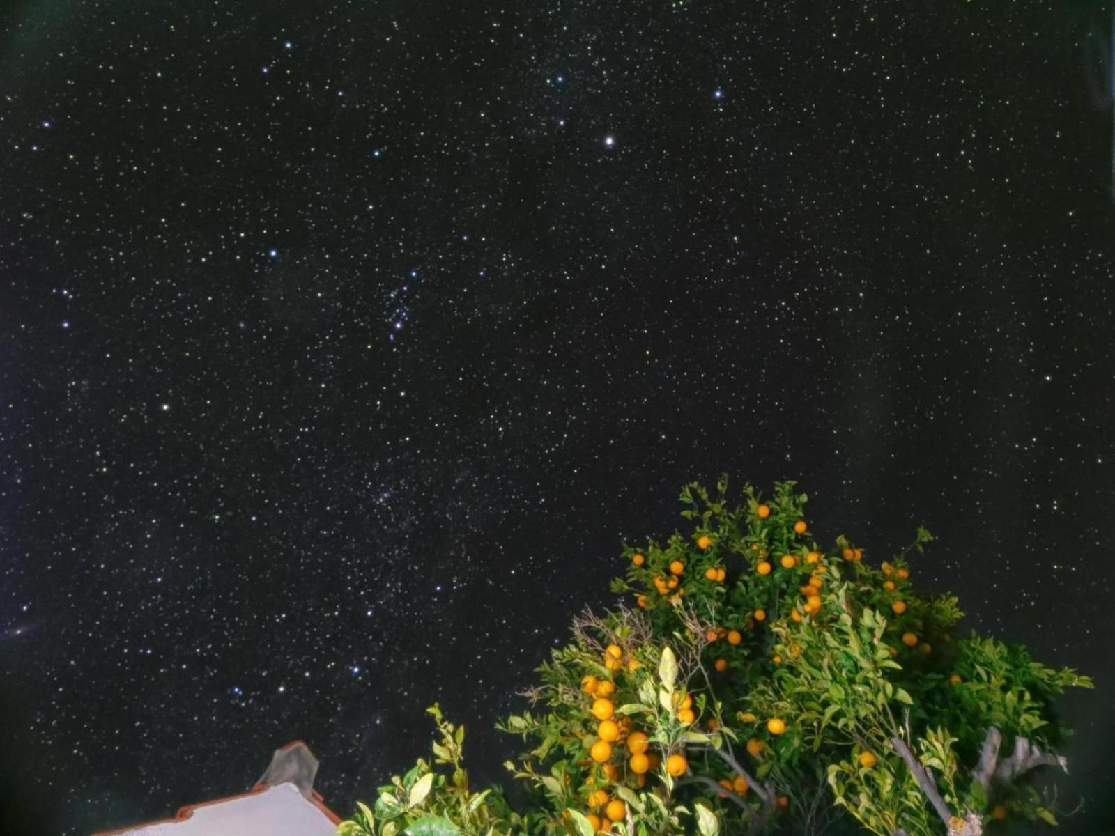 "Villa Servanda " - Relax, Nature, Wide Views Of The Sea And A Starry Sky Πούντα Γκόρντα Εξωτερικό φωτογραφία
